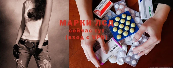 индика Богданович