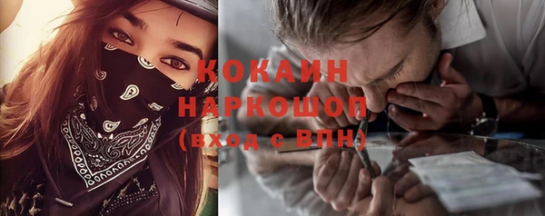 индика Богданович