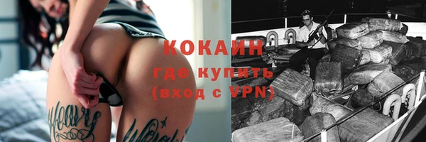 индика Богданович