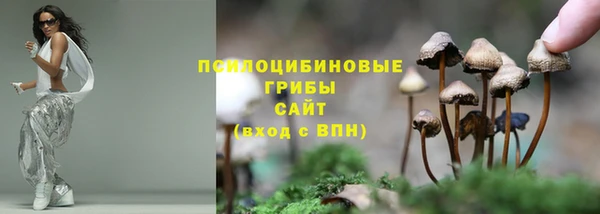 крисы Богородск