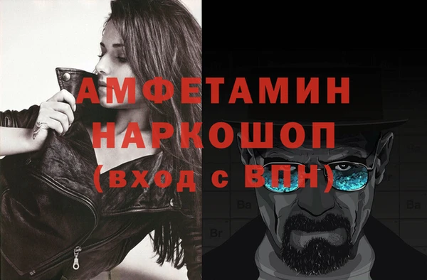 индика Богданович